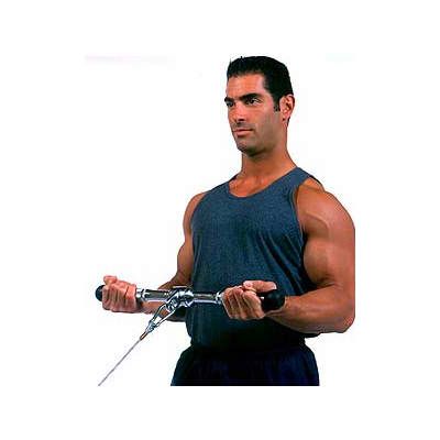 Element Fitness 20-Inch Solid Steel Machine Bar with Contoured Handgrips